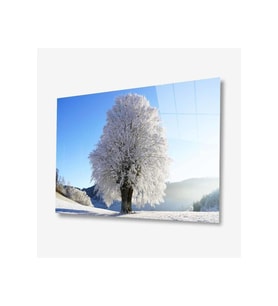 Doğa Cam Tablo 4mm Dayanıklı Temperli Cam (Çok Renkli)