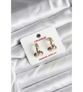 14K Gold Renk Kaplama CM Kadın Küpe 5886 - SSSSSS2681-9746