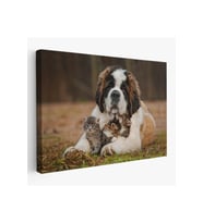 St. Bernard  Köpek ve Yavru Kediler Dekoratif Kanvas Tablo 1124