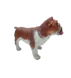Köpekler - Amerikan Bulldog Cinsi Köpek - 1 ADET