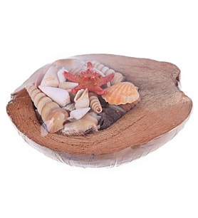 Coco Kabuk Sepeti 18-20 cm Arası