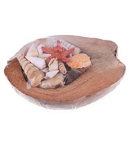 Coco Kabuk Sepeti 18-20 cm Arası