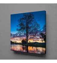 GÖL İÇİNDEKİ AĞAÇ KANVAS TABLO 60x60cm (Karışık)
