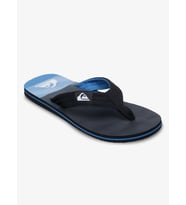 Quiksilver Molokai Erkek Parmak Arası Terlik EQYL100093