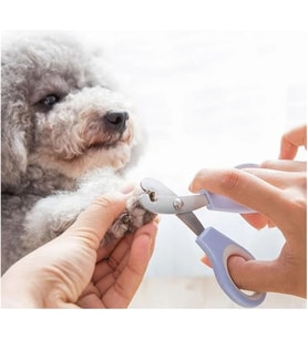Kedi Tırnak Makası Çelik Ergonomik Tutuş Evcil Hayvan Köpek Tırnak Makası (Garantili)