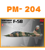 F-5B MAKET UCAK