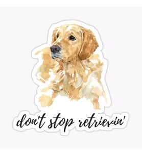 Golden Retriever Köpek Sticker Araba Oto Yapıştırması 17CM A3