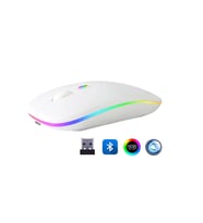 ZR215 Cba100 Rgb Beyaz Şarjlı Mouse