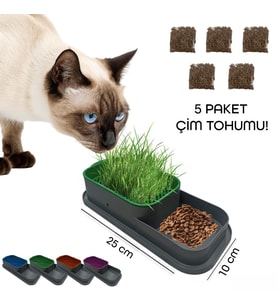 Topraksız Kedi Çimi Kabı (Standart)
