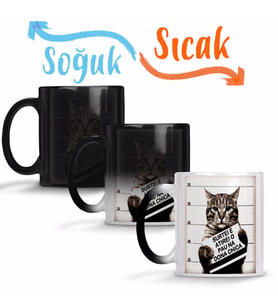 Gato Bad Cat Kedi Sihirli Kupa Bardak Porselen
