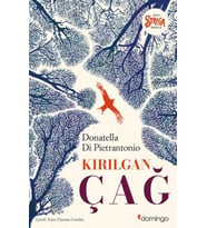 Kırılgan Çağ