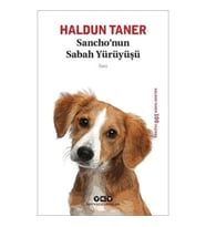 Sancho’nun Sabah Yürüyüşü