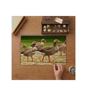 Kaz Sürüsü - Yürüyen Kazlar Tasarımı 240 parça Ahşap Puzzle Ahşap Kutuda MP05426