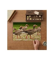 Kaz Sürüsü - Yürüyen Kazlar Tasarımı 240 parça Ahşap Puzzle Ahşap Kutuda MP05426