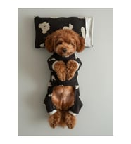 Doggy Köpek Uyku Takımı Pamuklu Penye Köpek Tulumu ve Mini Yastık Küçük Irklar İçin Tüy Dökülm