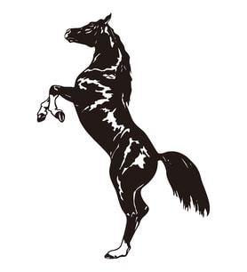 Folyo Sticker At 130cm Uzunluk (Karışık)
