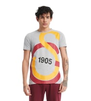 Galatasaray Lisanslı Büyük Logolu Gri T-Shirt