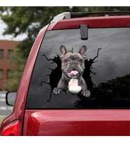Araba Arka Cam Köpek  Sticker Yapıştırma 17cm A6