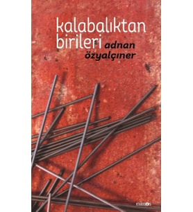Kalabalıktan Birileri (Ciltli)