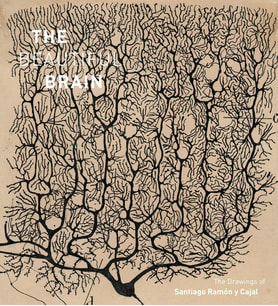 The Beautiful Brain: The Drawings Of Ramon Y Cajal: The Drawings Of Santiago Ramon Y Cajal (Krem)