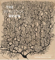 The Beautiful Brain: The Drawings Of Ramon Y Cajal: The Drawings Of Santiago Ramon Y Cajal (Krem)