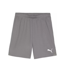 Puma Teamgoal Shorts Erkek Futbol Antrenman Şortu 70575213 Gri