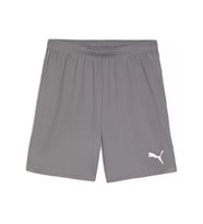 Puma Teamgoal Shorts Erkek Futbol Antrenman Şortu 70575213 Gri