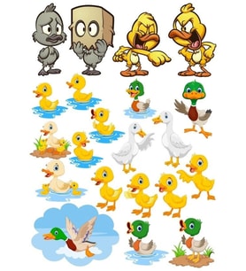 Ördek Temalı Sticker Set-2 18 Parça Telefon, Tablet, Defter, Laptop Sticker