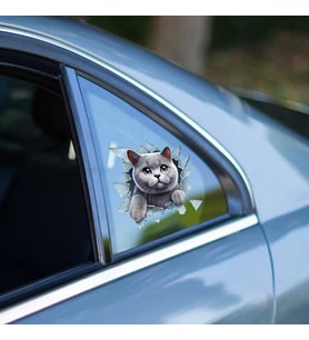 Fulcar British Araç Stickerı