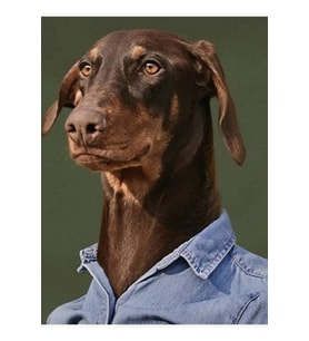 Bam (jk'nın Köpeği) Tablo Ahşap Poster Dekoratif Kod2769