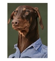 Bam (jk'nın Köpeği) Tablo Ahşap Poster Dekoratif Kod2769