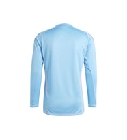 adidas T24 C Gk Jsy L Erkek Uzun Kollu Kaleci Forması IN0410 Mavi