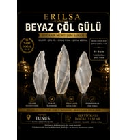 Sertifikalı Beyaz Çöl Gülü Selenit Taşı Kütle - 4-6 cm Şeffaf Kristal Doğal Ham Koleksiyonluk