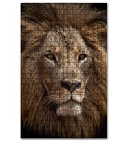 Cakapuzzle Muhteşem Erkek Aslan Yakın Çekim Puzzle Yapboz MDF (Ahşap) (120 Parça)