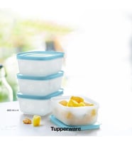 Tupperware Alaska 450 Ml 4 Lü Set