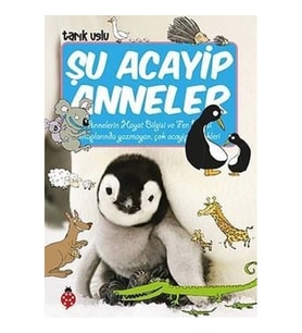 Şu Acayip Anneler