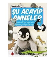 Şu Acayip Anneler