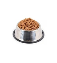 Pati Desenli Çelik Mama Kabı Kedi Köpek Metal Mama Su Kabı 18 cm (Gümüş)