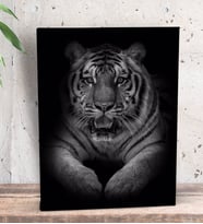 BK Gift Kaplan Tasarımlı Dekoratif Mini Kanvas Tablo 15x20cm-2