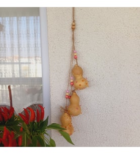 Sukabağı duvar, bahçe, balkon süsü