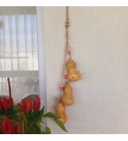 Sukabağı duvar, bahçe, balkon süsü