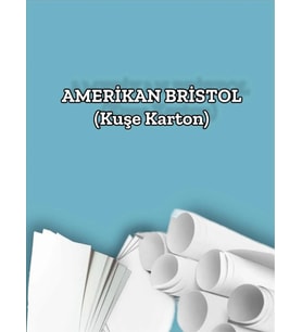 425 Gr. Amerikan Bristol Kağıt Karton 50x70 25 Adet