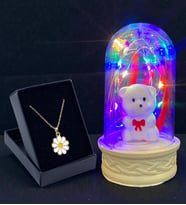 Renkli Led Işıklı Tasarım Fanus ve Özel Tasarım Kolye Hediye Seti (Model 1)