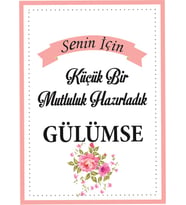 Senin Için Küçük Bir Mutluluk Hazırladım Kartı Pembe 5x7 Cm 50 Adet