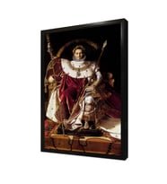 Napolyon Bonaparte Çerçeveli Mdf Tablo
