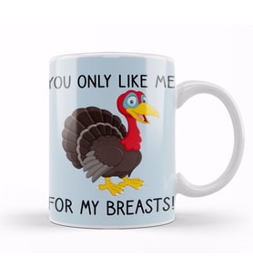 You Only Like Me for My Breasts Funny Thanksgiving Kupa Bardak Porselen