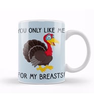 You Only Like Me for My Breasts Funny Thanksgiving Kupa Bardak Porselen