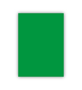 Bigpoint Fon Kartonu 50x70cm 160 Gram Koyu Yeşil x 100 Adet