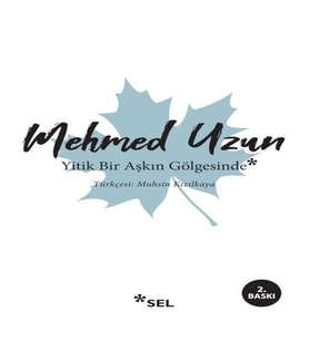 Yitik Bir Aşkın Göesinde