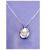 14 K White Gold Kaplama 925 Ayar Gümüş Anka Kuşu Kapaklı Açılır Kapanır Fotoğraflık Kolye